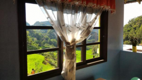 Banaue Greenfields Inn